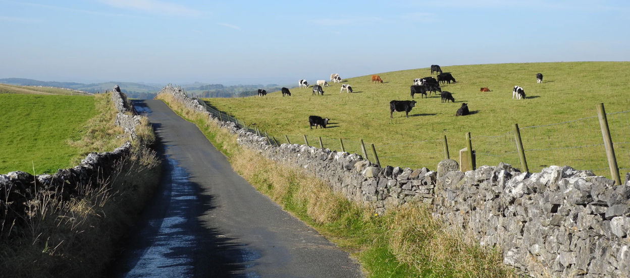 Road in the North York Moors, near Northallerton