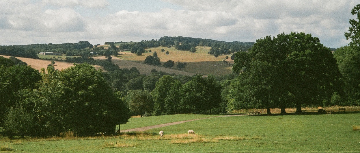 rolling fields in Wakefield